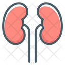 پیش‌نمایش فایل kidneys-3807797 از پک بدن انسان
