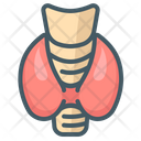 پیش‌نمایش فایل thyroid-3807807 از پک بدن انسان