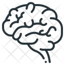 پیش‌نمایش فایل brain-3807819 از پک بدن انسان