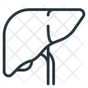 پیش‌نمایش فایل gall-3807825 از پک بدن انسان