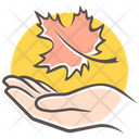 پیش‌نمایش فایل maple-leaf-4394633 از پک روز شکرگزاری